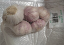大蒜头出口品质网兜紫蒜蔬菜调料新鲜大果烧烤火锅食材 【精品网兜装】5头装 150g 实拍图