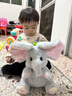 汇乐玩具儿童毛绒玩具躲猫猫大象安抚哄娃玩偶公仔宝宝学说话周岁生日礼物 实拍图