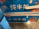 光明【新鲜日期】纯牛奶250mL*24盒家庭量贩装营养早餐伴侣送礼 实拍图