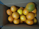 玖原农珍 赣南脐橙新鲜橙子含箱10斤净重9斤优选果150-300g 年货水果礼盒 实拍图