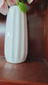 极度空间 陶瓷花瓶客厅桌面工艺品花瓶摆件茶几装饰摆件插花器 实拍图