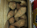 亨泰丰源（HENGTAIFENGYUAN）新鲜红薯 蜜薯鲜挖现发 沙地地瓜 红苕新鲜蔬菜流油地瓜 9斤新鲜蜜薯 实拍图