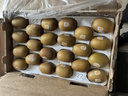 佳沛（zespri）新西兰  阳光金奇异果巨大果22粒原箱 单果重约144-175g 猕猴桃 实拍图