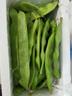 京鲜生山东新鲜油豆角1.8斤装新鲜蔬菜源头直发包邮 实拍图