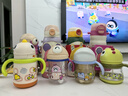babycare儿童保温杯婴儿宝宝学饮杯吸管水杯水壶不锈钢300ml-新旧款混发 实拍图