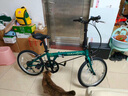 大行（DAHON）D6折叠自行车20英寸6速入门级折叠车成人学生通勤休闲单车KBC061 墨绿色 实拍图