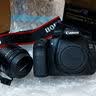 佳能/CANON  80D 60D 70D 77D 50D 90D 半画幅 二手单反相机 佳能60D单机 99新 实拍图