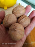 楼兰蜜语 薄皮大核桃500g/袋*2 新疆纸皮核桃 新二核桃零食 果炒货  实拍图