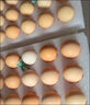 京鲜生鲜鸡蛋10枚/盒 健康轻食 营养健康1斤/盒 源头直发  实拍图