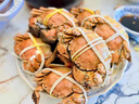 【活蟹】湖中秋色六月黄鲜活大闸蟹螃蟹现货2.5-2.8两8只去绳足重生鲜礼盒 源头直发 实拍图