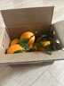逮果重庆奉节脐橙纽荷尔春橙福本特级大果礼盒装时令新鲜孕妇水果橙子 净重4.5斤果王/80mm+/约7-9个 实拍图