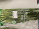 绿色韭菜250g 实拍图