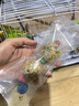 喜帅鹦鹉磨牙零食球 鸟用磨嘴小零食训练奖励食物啃咬鸟玩具2串装 实拍图