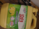 立白柠檬洗洁精1kg*12桶整箱 快速去油不伤手 餐馆食堂商用批发装 实拍图