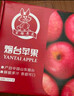 京鲜生 山东栖霞红富士苹果精品12粒 单果190g-240g  水果礼盒 实拍图