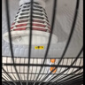 艾美特（AIRMATE）【台地两用】取暖器/小太阳/电暖器/鸟笼电暖气 即热即热家用定时摇头电扇远红外烤火炉  实拍图