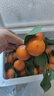 懒鲜生广东正宗沙糖桔清甜无渣砂糖橘新鲜 2斤净重 小果（30-40mm-花皮 介意慎拍） 实拍图