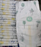 好奇（Huggies）小森林纸尿裤XL32片(12-17kg)尿不湿心钻【透氧顶配更低敏】 实拍图