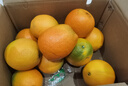 土八鲜江西橙子赣南脐橙新鲜水果赣州脐橙手剥甜橙礼盒 奋进橙9-10斤【果径70-79mm】 实拍图