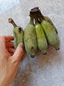 正宗苹果蕉广西香蕉自然熟新鲜水果奶蕉粉蕉小米芭蕉鹏贸 净重1斤 实拍图