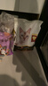 冠能猫粮 成猫猫粮鸡肉味10kg 全价猫粮 稳固免疫【宠物金选】 实拍图