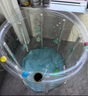 奔麦婴儿游泳桶可折叠洗澡盆新生儿童洗澡桶家用宝宝充气游泳池浴缸 升级【感温款】透明可视 宽75*75 实拍图