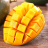 甜果源 攀枝花凯特芒果 大青皮芒果老树煌芒台应季时令礼盒新鲜水果包邮 5斤【单果200-300g】净重4.5-4.9斤 实拍图