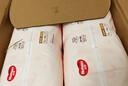 好奇（Huggies）铂金装小桃裤成长裤XL96片(12-17kg)加大号尿不湿【透爽散热】 实拍图
