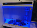 森森 超白玻璃智能桌面鱼缸一体缸自循环HE-480 实拍图