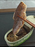鹰金钱笋香鲮鱼184g*2罐 中华老字号即食海鲜鱼速食罐头下饭酒菜国产 实拍图