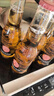 科罗娜（CORONA）海盐番石榴果啤啤酒207ml*24瓶整箱装【新品】京东自营 实拍图