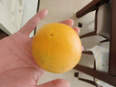 京鲜生 云南哀牢山冰糖橙/橙子 净重9斤 单果130g-170g 生鲜水果礼盒 实拍图