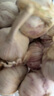 京鲜生山东紫皮小洋葱净重3斤装 新鲜白肉脆甜30g-150g小葱头 源头直发 实拍图