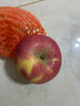 京鲜生 陕西洛川红富士苹果 净重8斤 单果200g 生鲜水果 实拍图