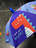 天玮伞业全自动雨伞大号加固加厚抗风黑胶防晒晴雨两用折叠228骨可定制 实拍图