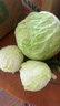 高原夏菜新鲜包菜卷心菜绿甘南菜甘蓝圆白菜时令蔬菜健康营养早餐 5-6斤农家好菜 实拍图