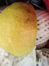 京鲜生 新疆库尔勒香梨 净重10斤 特级 单果120g以上 生鲜水果 实拍图