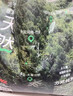 力狼猫砂 植物木薯除臭不易粘底几近无尘易结团猫砂快至次日达 【无香味】木薯猫砂2.5kg5斤 实拍图