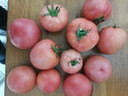 京鲜生 山东普罗旺斯西红柿 净重4.5斤 单果115g+ 沙瓤番茄 源头直发 实拍图