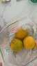 京鲜生 湖北秭归纽荷尔脐橙8斤 单果150g应季水果 源头直发 包邮 实拍图
