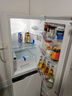 美菱（MeiLing）离子净181升白色两门双开门小户型家用小冰箱两用租房宿舍节能可冷藏冷冻BCD-181LCR2X国家补贴 实拍图