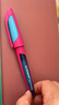 思笔乐（STABILO）【热门商品】进口小学生专用正姿钢笔0.5mmEF尖学生儿童练字书法商务办公钢笔 正姿升学礼物 蓝粉 实拍图