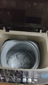 志高（CHIGO）全自动洗衣机 家用小型波轮 洗脱一体机大容量 公寓宿舍出租房 10KG咖啡金【蓝光洗护+风干洁桶+强电机】 实拍图