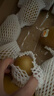 佳沛（zespri）新西兰阳光金奇异果 8个装 特大果单果重约122-146g 水果猕猴桃 实拍图