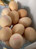 京鲜生鲜鸡蛋10枚/盒 健康轻食 营养健康1斤/盒 源头直发  实拍图
