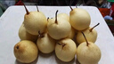 京鲜生 河北鸭梨 地标产品 净重5斤 单果250g+ 生鲜水果礼盒 实拍图