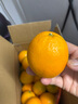 粤迎江西赣南脐橙子特产正宗手剥当季橙子新鲜水果高山脐橙当季水果 5斤精选果【香甜多汁】净4.5斤 实拍图