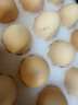 京鲜生柴鸡蛋30枚 3斤 无抗生素 谷物喂养鲜鸡蛋 源头直发 实拍图