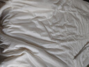 京东京造100%天然蚕丝子母被 纯棉面料二合一四季被子冬季2x2.3m约8斤 实拍图