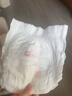 好奇（Huggies）铂金装小桃裤成长裤XL96片(12-17kg)加大号尿不湿【透爽散热】 实拍图
